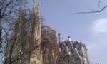 Nora Donner Sagrada Familia